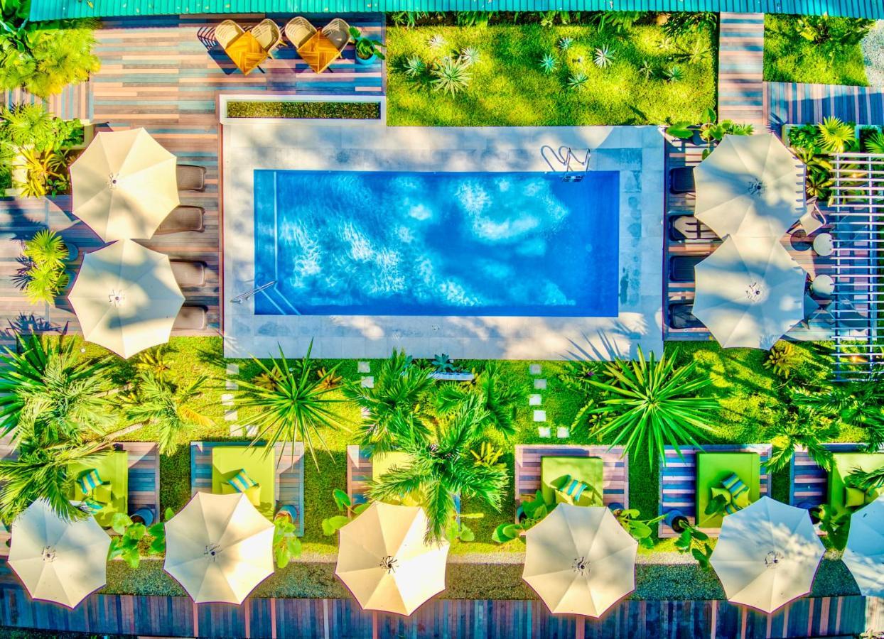 Exotico Beach Hotel Puerto Viejo de Talamanca Eksteriør bilde