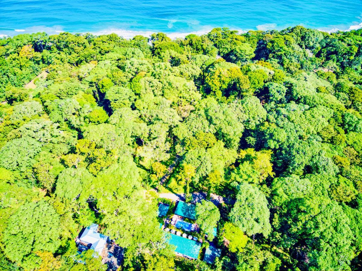Exotico Beach Hotel Puerto Viejo de Talamanca Eksteriør bilde