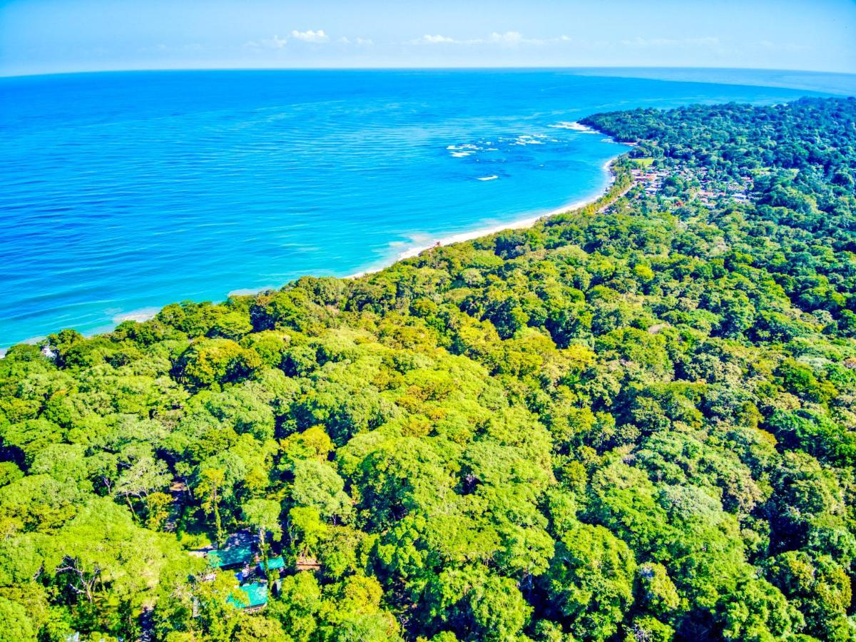Exotico Beach Hotel Puerto Viejo de Talamanca Eksteriør bilde